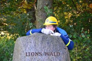 Lionswald